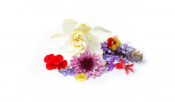 Le lys et l'orchidée : composez des bouquets de mariée de saison