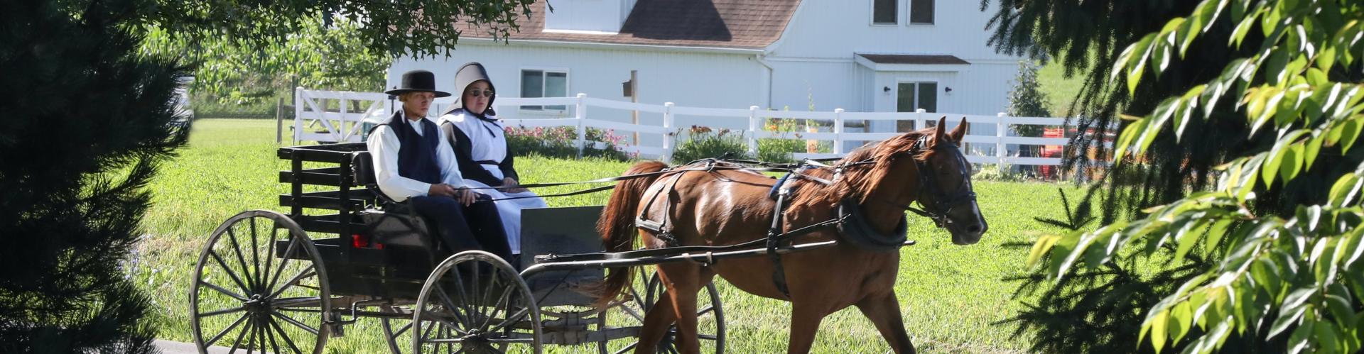Mariage & Tradition : Les mariages Amish