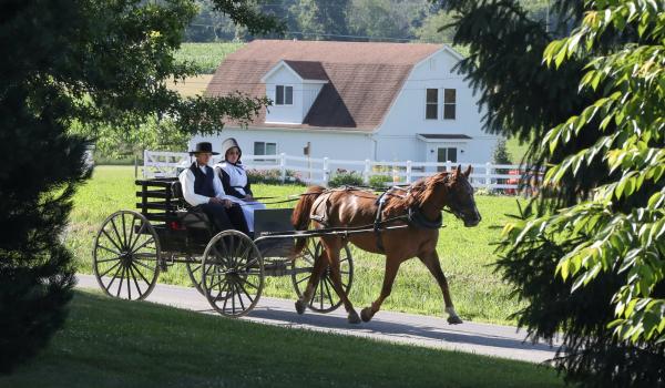 Mariage & Tradition : Les mariages Amish