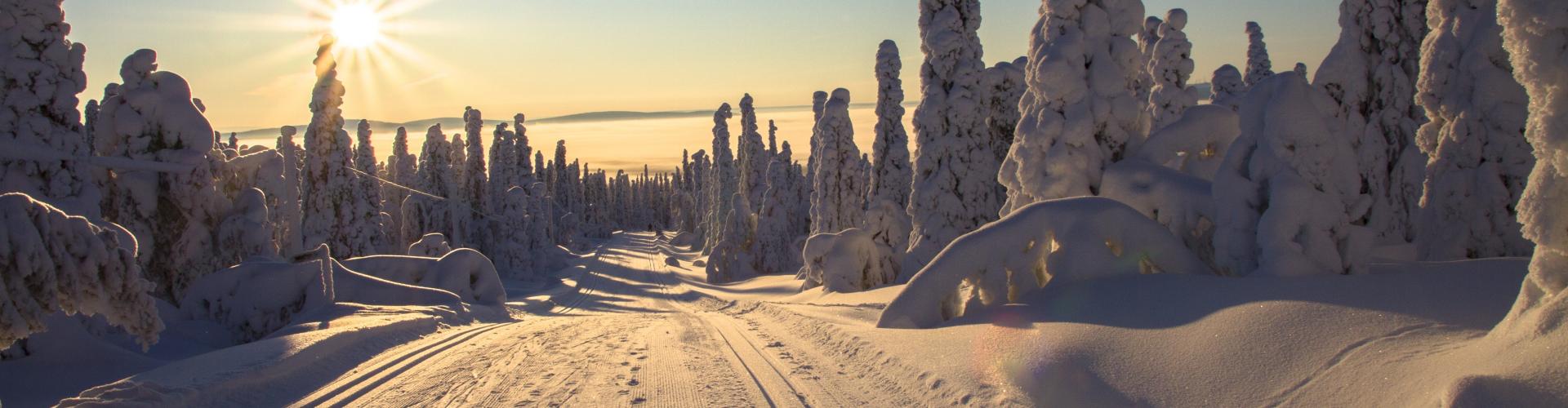 Un mariage en Laponie, au pays du Père Noël !