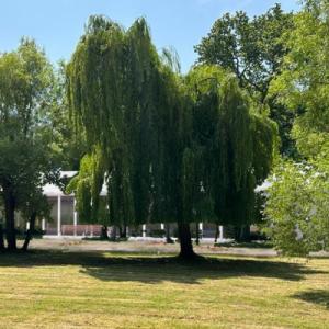 Le parc arboré avec la future orangerie - Domaine de la Balanderie - Lieu de réception pour votre mariage en Normandie - Mariage en Normandie