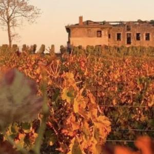Les vignobles Bayle-Carreau - Vins pour votre mariage avec 150 ans d’histoire avec la Normandie - Mariage en Normandie